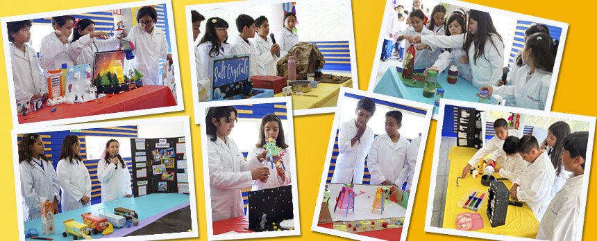 Science Week 2024